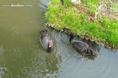 ふらり水戸旅