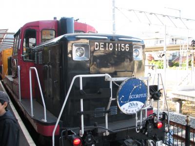 亀岡のコスモスと嵯峨野トロッコ列車