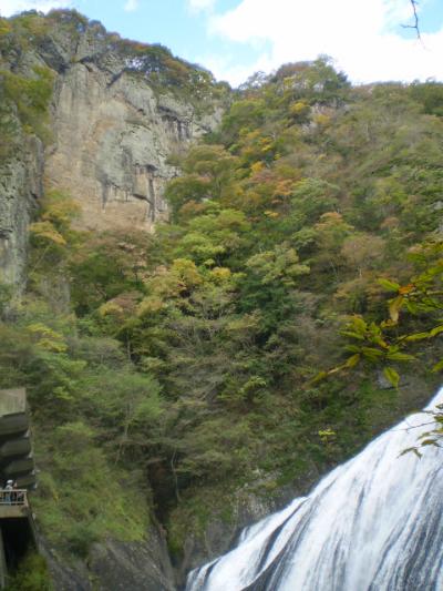 紅葉の三名瀑袋田の滝と秋のフルーツ柿＆みかんＷ狩り　
