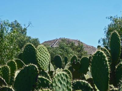 メキシコ世界遺産を巡る旅--①テオティワカン