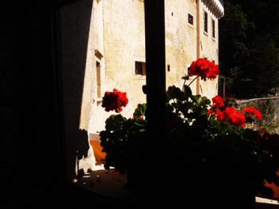 トルコ航空で行く　スロベニア～ポストイナ観光・リュブリャナ⑨～