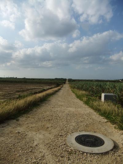 2010秋 リベンジ八重山 vol.1(波照間島編)