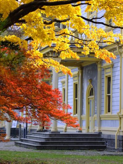 紅葉に染まる函館