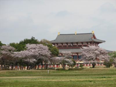 平城宮跡　2010年春と秋