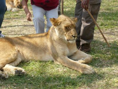 2010年9月　モーリシャス・シンガポール旅行　その２３：カゼラ・ネイチャー＆レジャー・パークへ