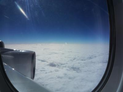 フランス世界遺産・美術館見学のはずが(1日目/出発)