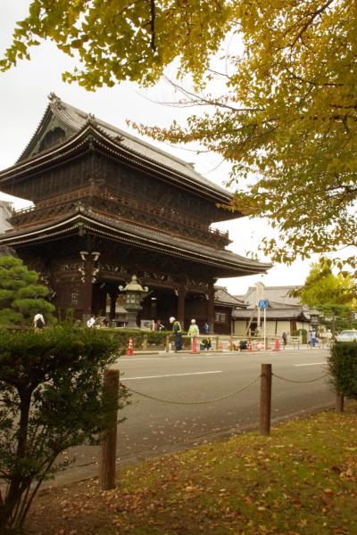 東本願寺と黄色い京都