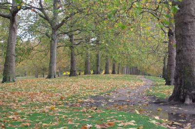 ロンドン2日目~市内観光