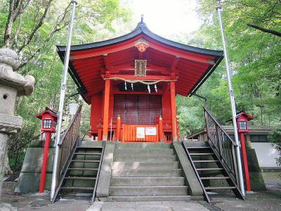 九頭龍神社を祀る箱根九頭龍の森を散策