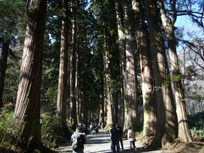 色づく秋の戸隠神社