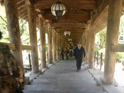 『西国三十三箇所巡り：第八番長谷寺・第九番南円堂・番外・法起院』