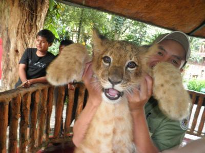 インドネシア・タマンサファリ