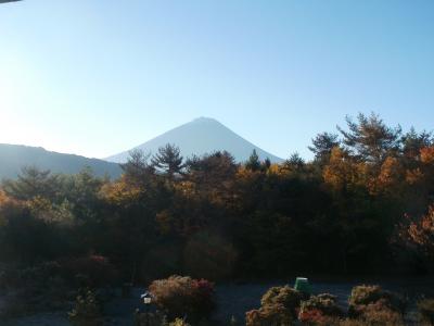 紅葉を眺めながら南極生活の昔話を・・・