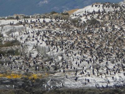 イグアス・パタゴニア旅行②