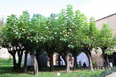 サンティアゴ巡礼の道をちょっとだけ~パンプローナ~