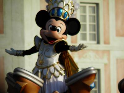 2010/11 8年ぶりTDR