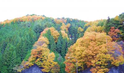 ヘブンスそのはらで紅葉を～母のデジカメより～