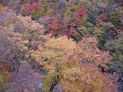 紅葉真っ盛りの裏磐梯からボナリ高原　１　　中津川渓谷で紅葉を堪能