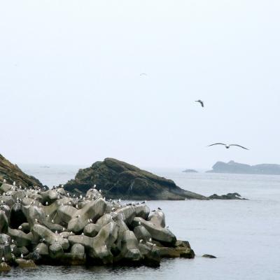 島根の旅◆その1（山陰本線で浜田→日御碕→出雲大社）