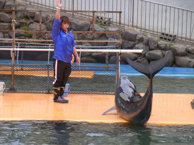 北陸3都ものがたり 最後は福井