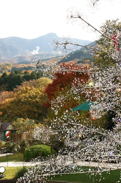 クリスタル・イルミネーションに箱根の秋色！