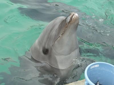 南知多ビーチランド