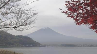 2010年11月　河口湖紅葉狩り