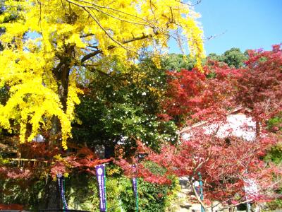 紅葉を求めて in 神崎