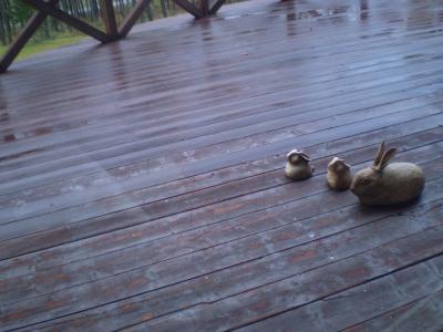 かなやま湖畔のホテルで一泊