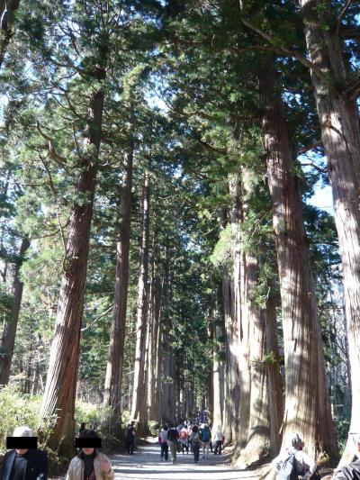 鏡池から戸隠奥社までウォーキング