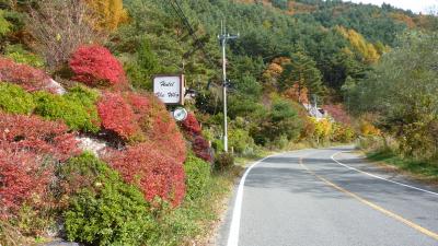 紅葉真っ盛りの富士五湖