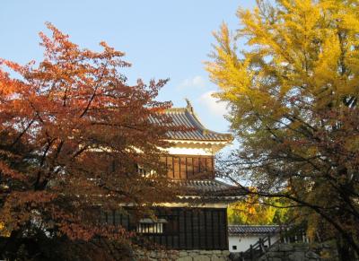 上田城跡公園の紅葉