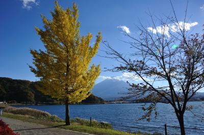 紅葉の河口湖