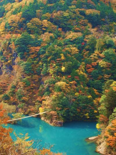 秋の紅葉巡り in 静岡【寸又峡＆大井川アプト式鉄道】