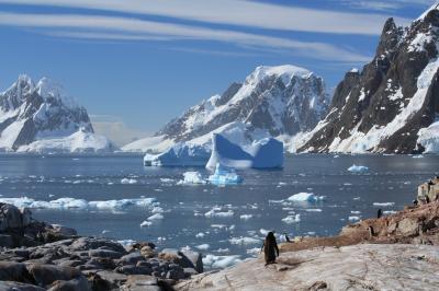 オルロバ号で航く南極半島クルーズ（その⑤）