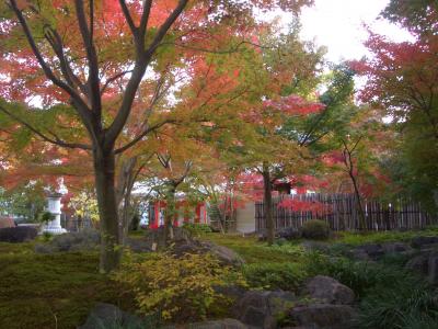 鹿島祐徳稲荷神社及び日本庭園紅葉