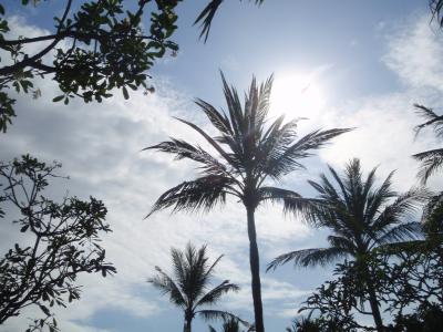 2010 初バリ島 最終日&お土産