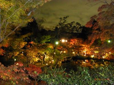 燃ゆる秋 京都紅葉 2010