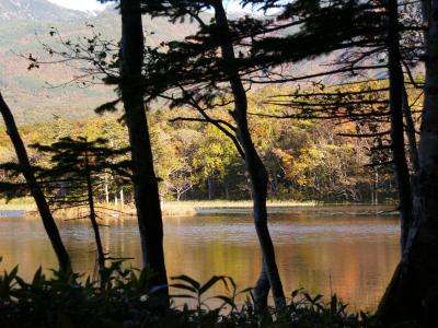 知床五湖－二湖