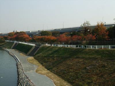 自転車でウロウロ…=④埼玉県へ…編=