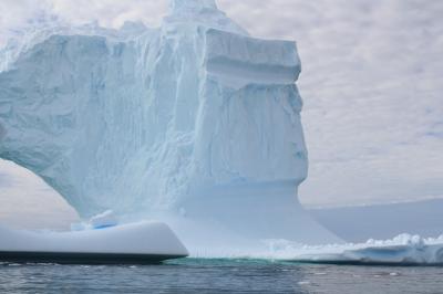 オルロバ号で航く南極半島クルーズ（その⑥）