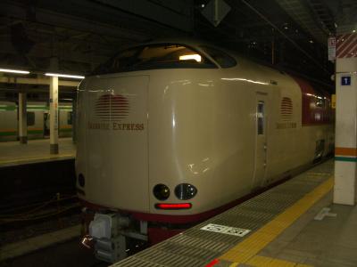 しまなみ海道を自転車で渡る。青春１８きっぷとサンライズ出雲で関西へ。