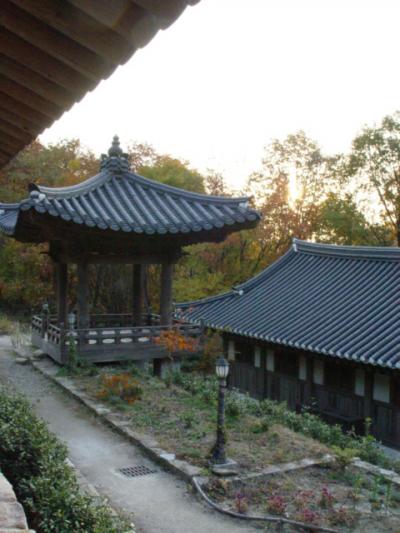 韓国の美を・・全羅南道　旅行（2)～寺＆茶畑～