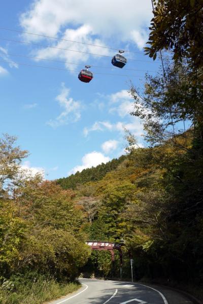 ０６．秋のＨＶＣ箱根甲子園２連泊　箱根大涌谷　黒玉子茶屋　極楽茶屋 の昼食　船見岩