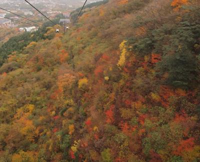 箱根ロープウェイから眺める紅葉の大涌谷と早雲山の駐車場　小涌谷付近の紅葉　２０１０年１１月