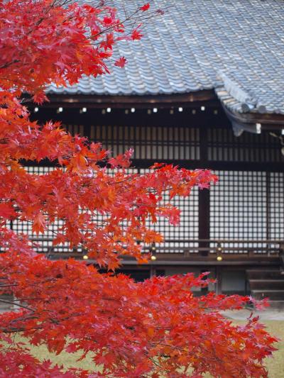 錦秋の京都　2.　勧修寺