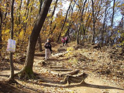 街中の喧噪を離れプチ登山