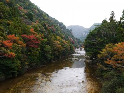 [紅葉狩り]鳳来寺、湯谷温泉周辺