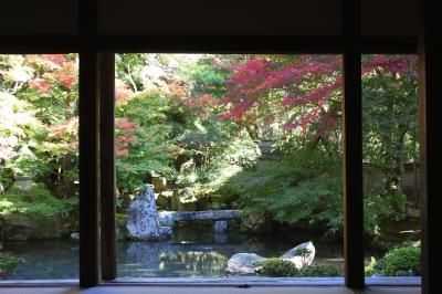 京都を歩く(69)　2010紅葉めぐり　八瀬・洛北蓮華寺で静寂な一時を　