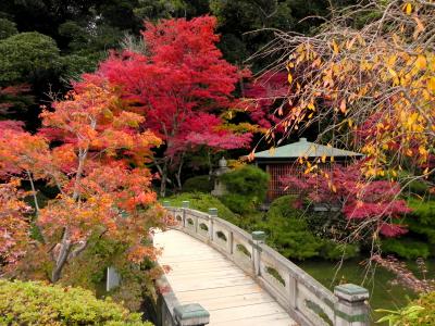 下関市長府の紅葉＾＾*